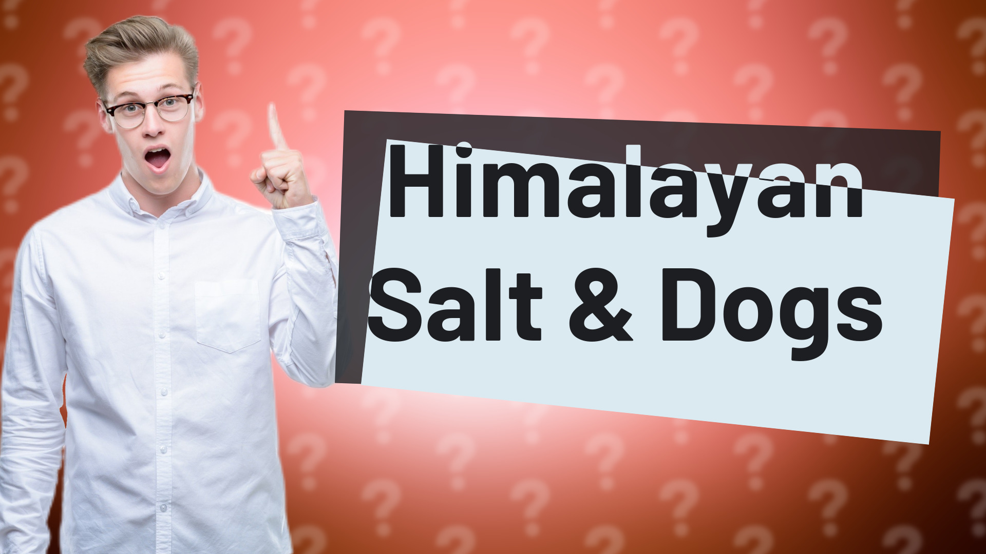 Himalayan Salt & Dogs