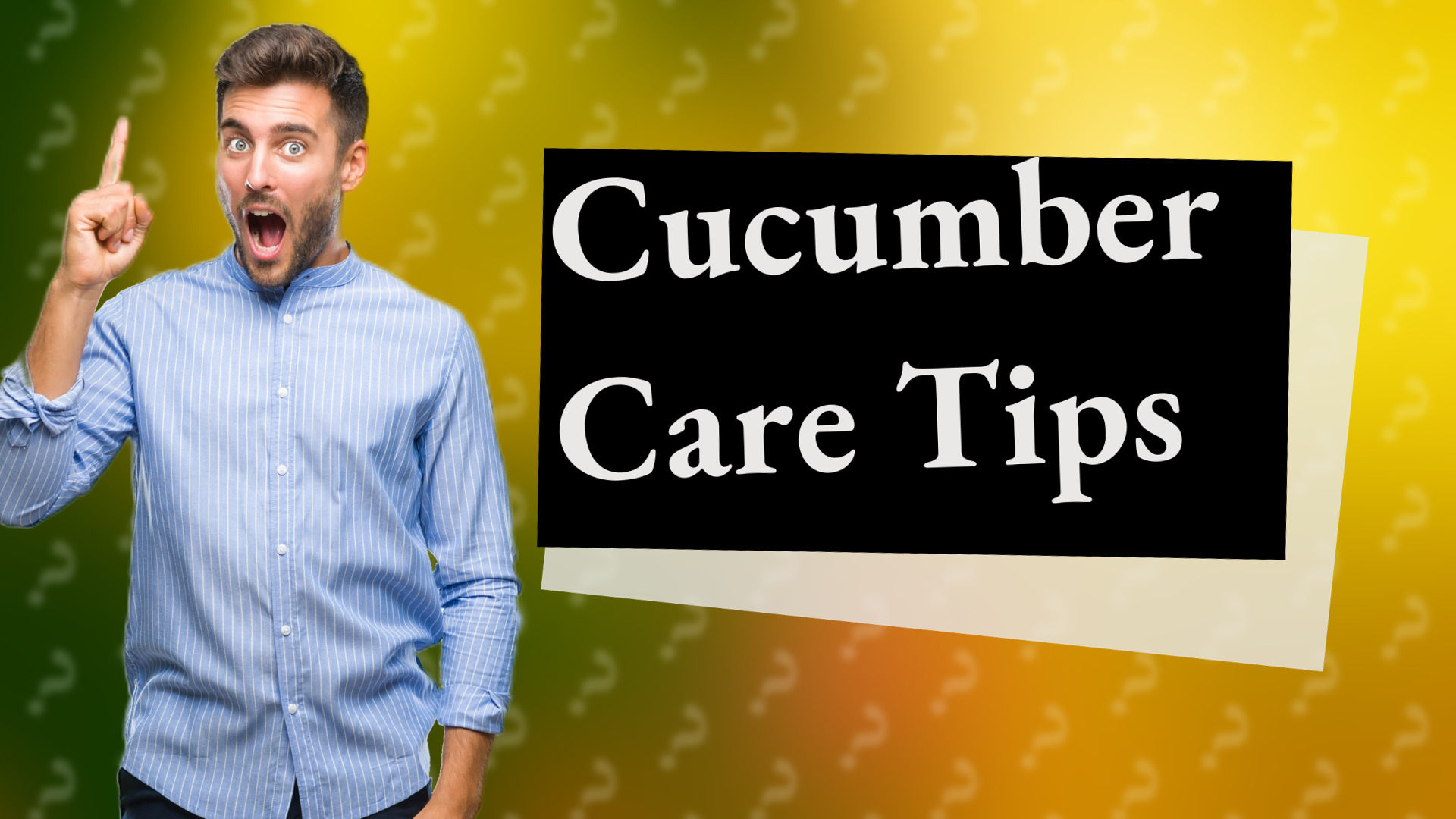 Cucumber Care Tips