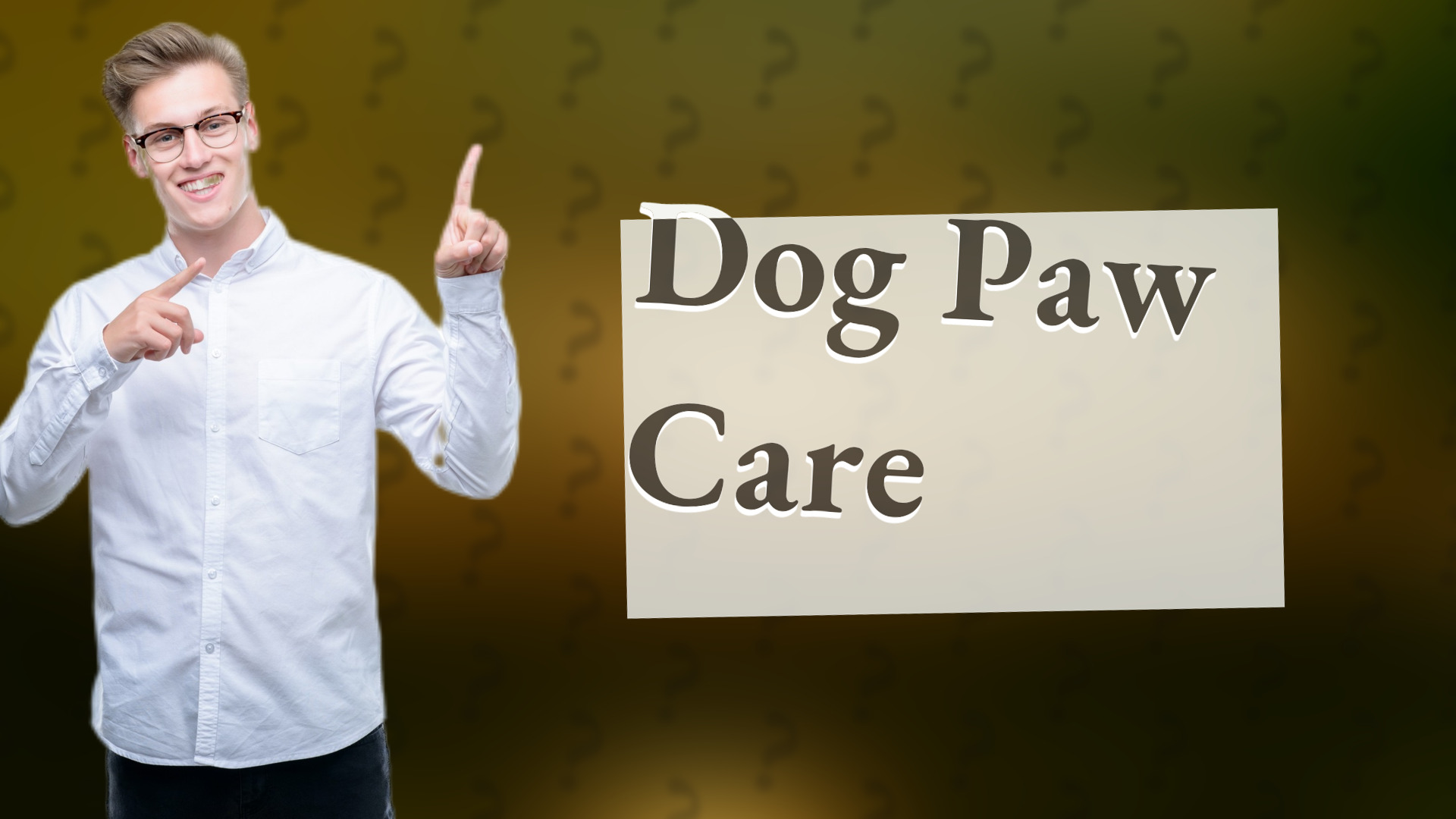 Dog Paw Care