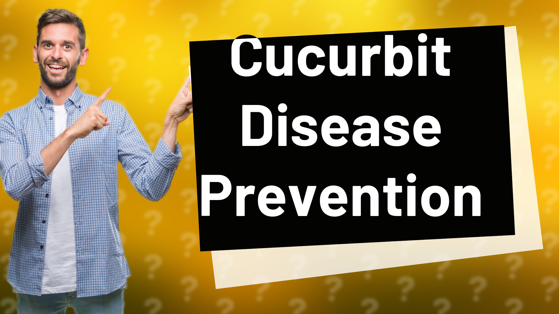 Cucurbit Disease Prevention