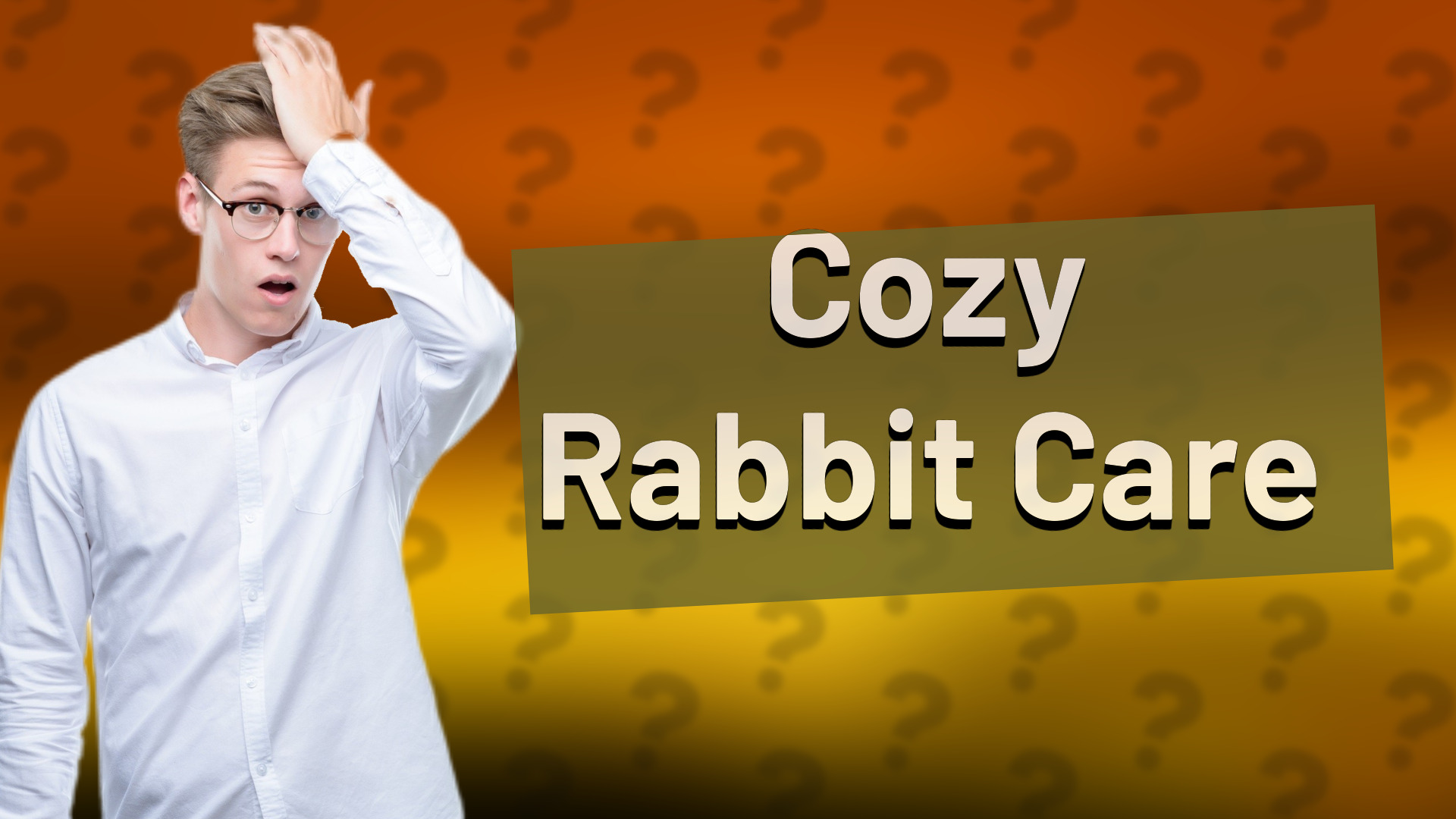 Cozy Rabbit Care