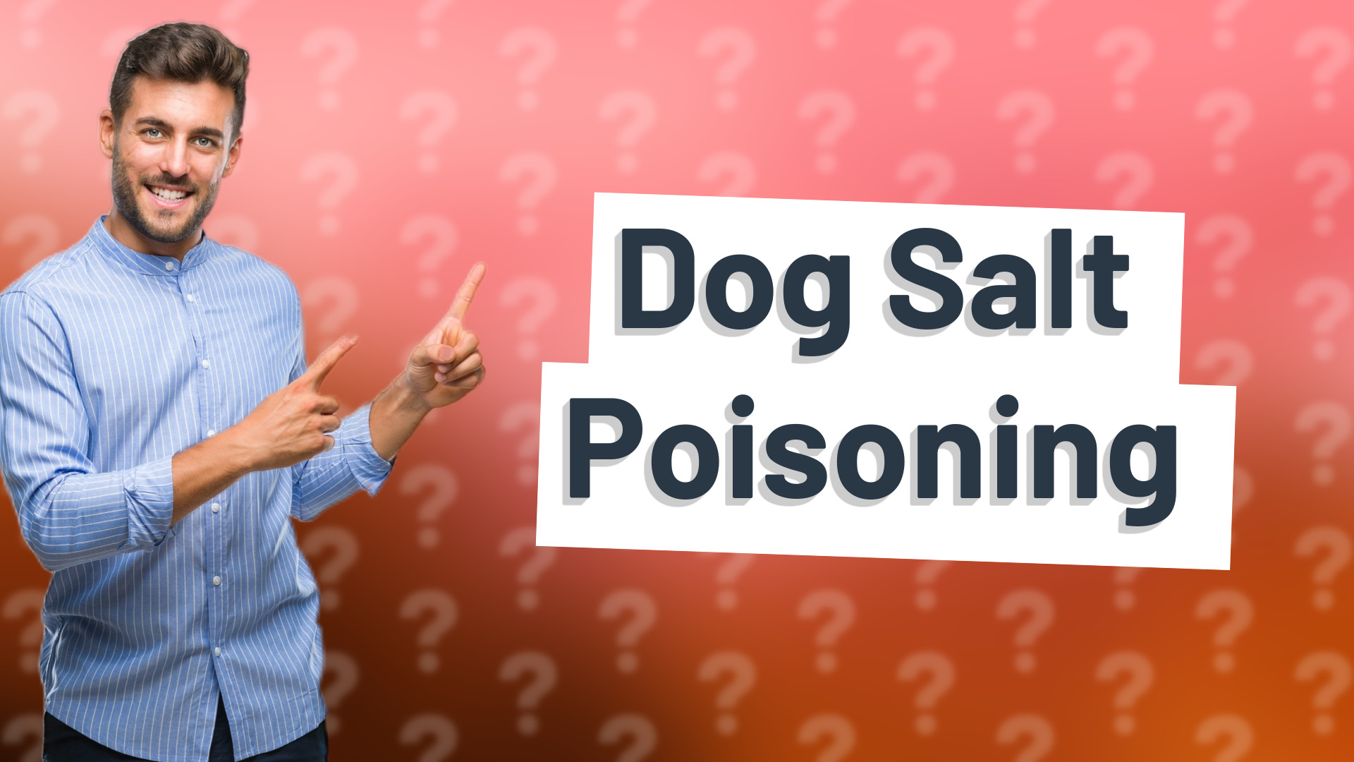 Dog Salt Poisoning