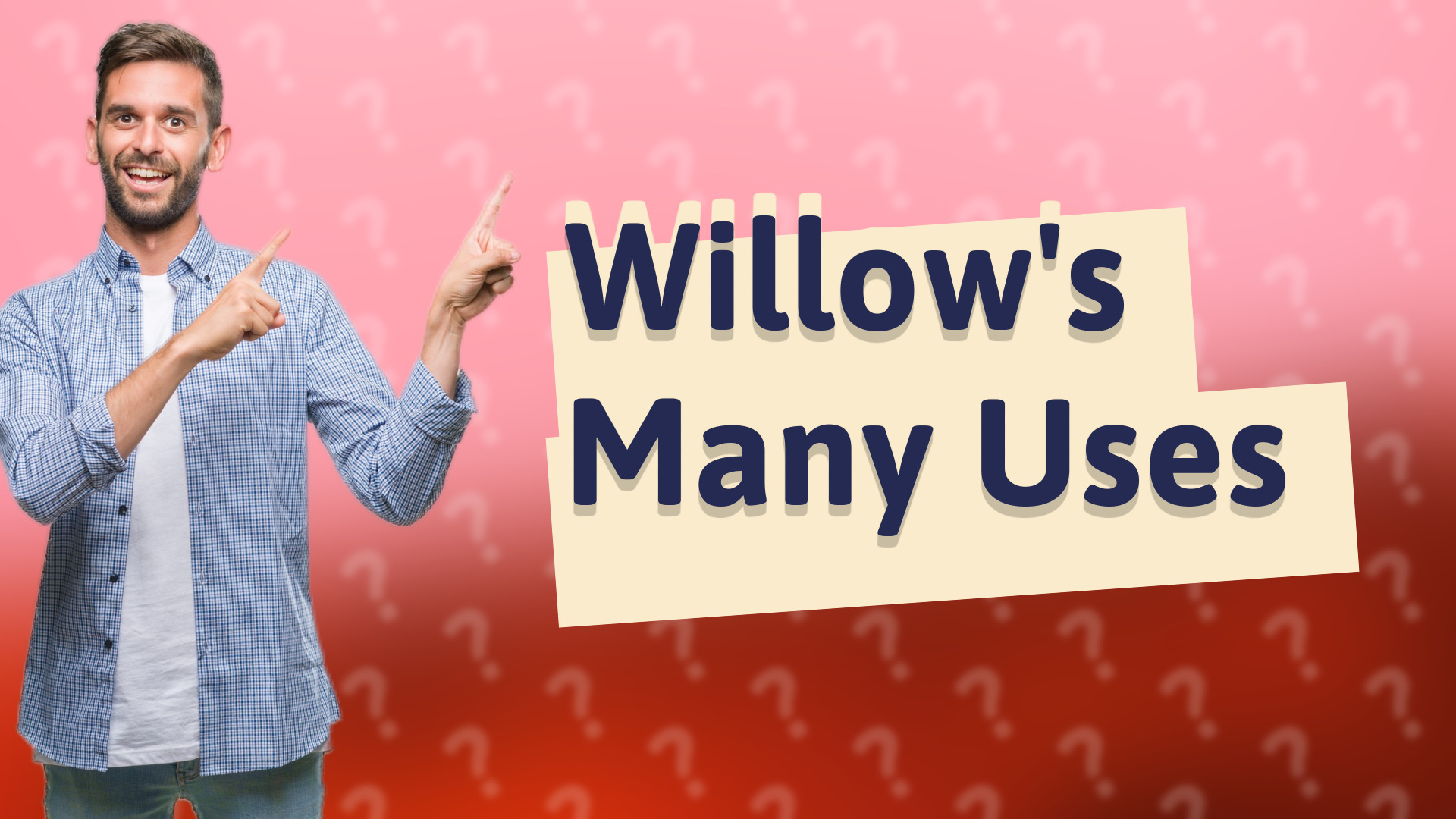 Willow's Many Uses