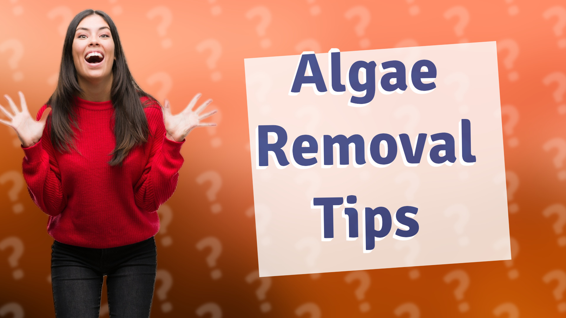 Algae Removal Tips