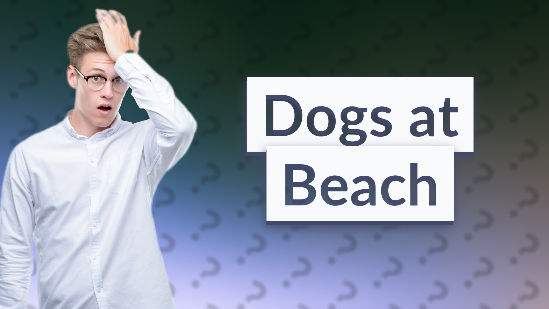 Dogs at Beach