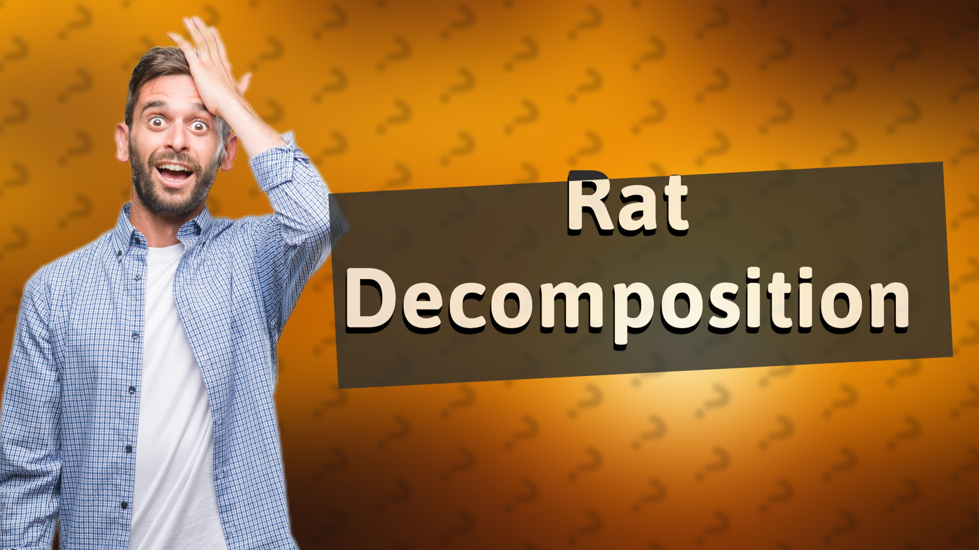 Rat Decomposition