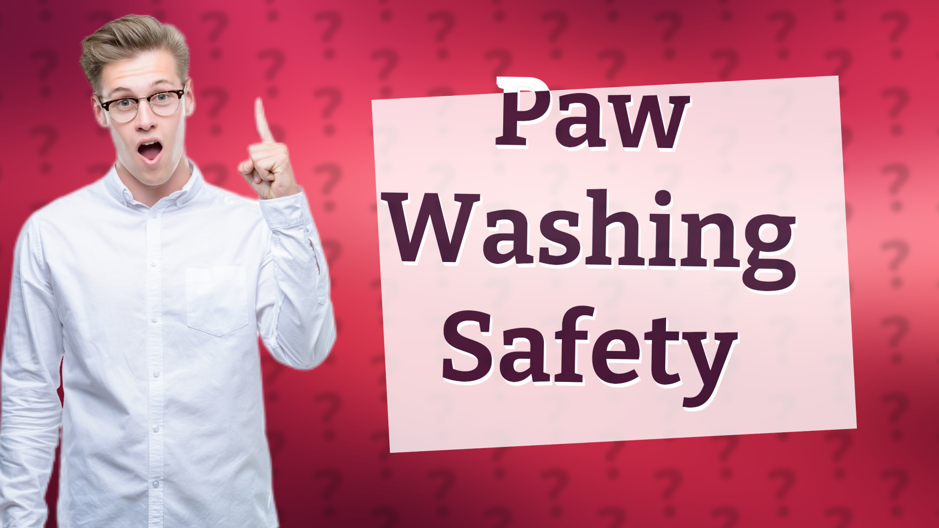 Paw Washing Safety