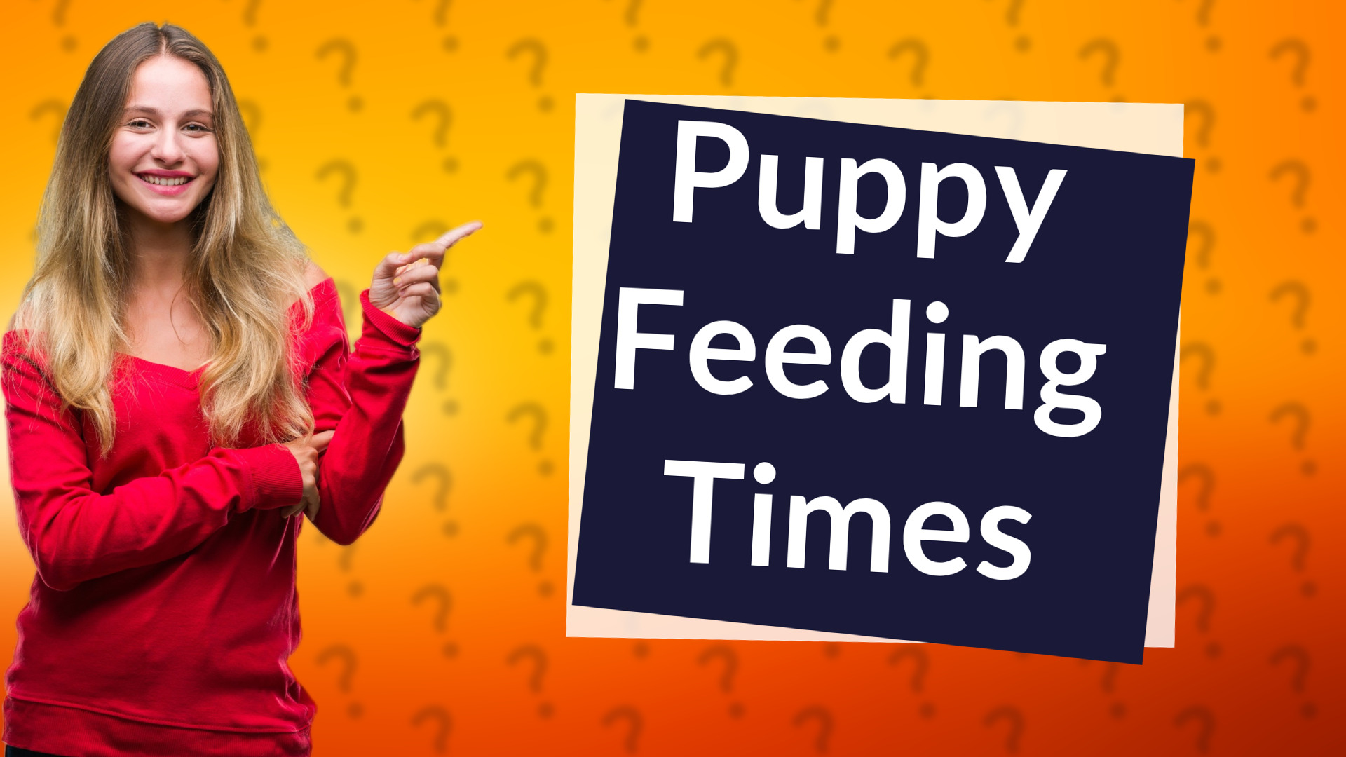 Puppy Feeding Times