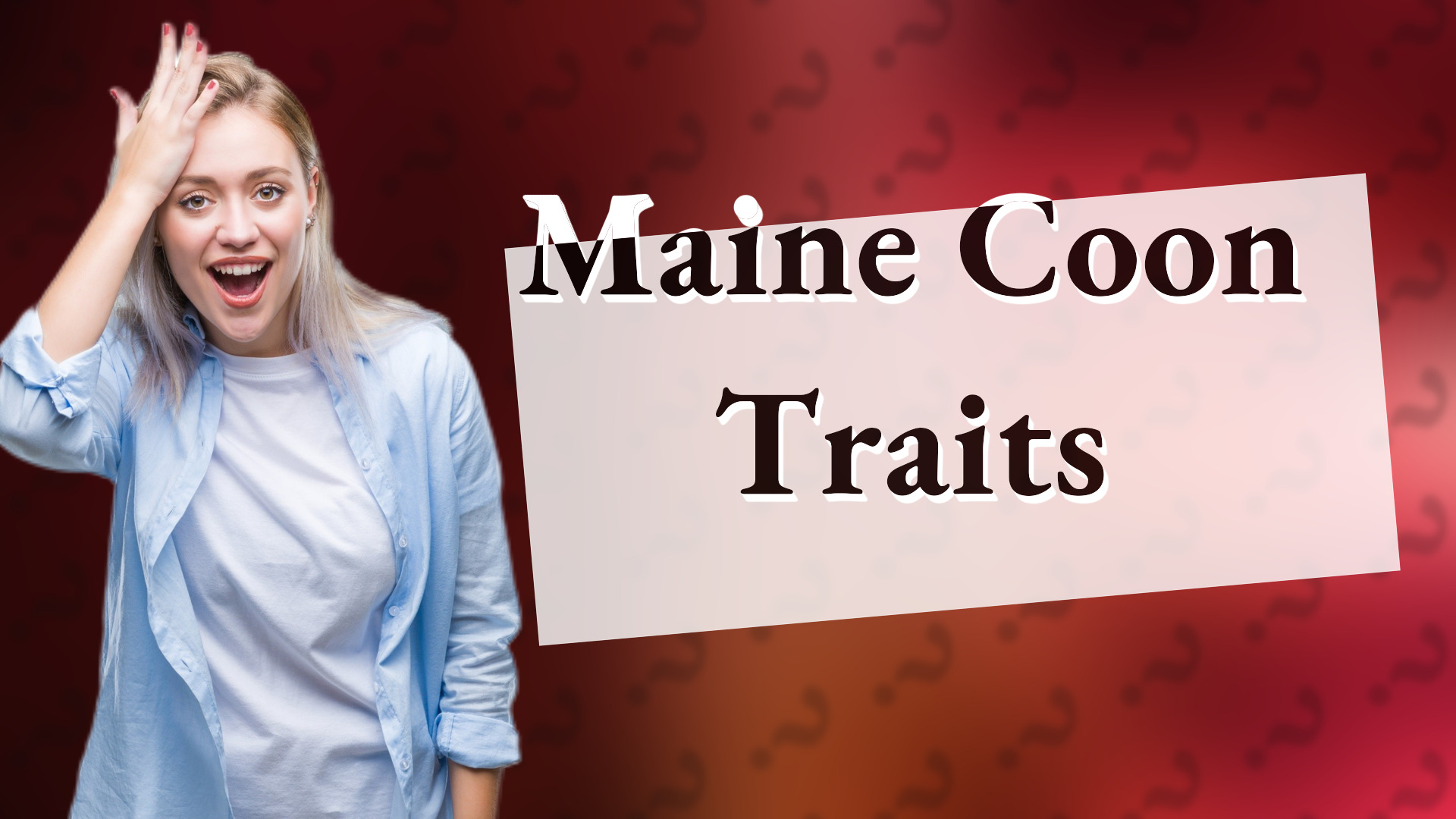 Maine Coon Traits