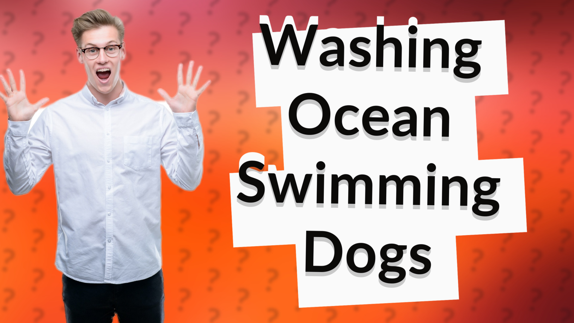 Washing Ocean Swimming Dogs