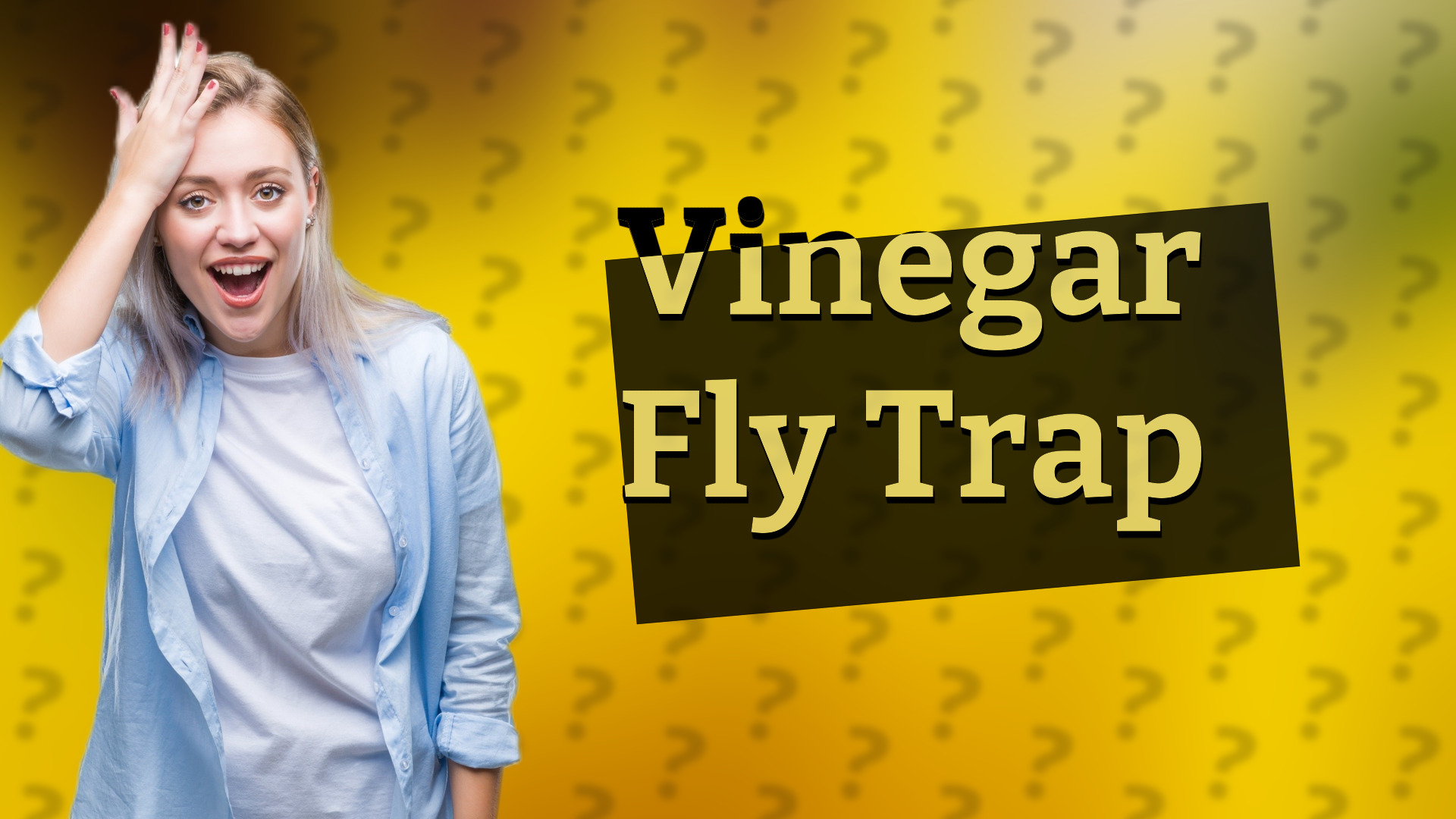 Vinegar Fly Trap