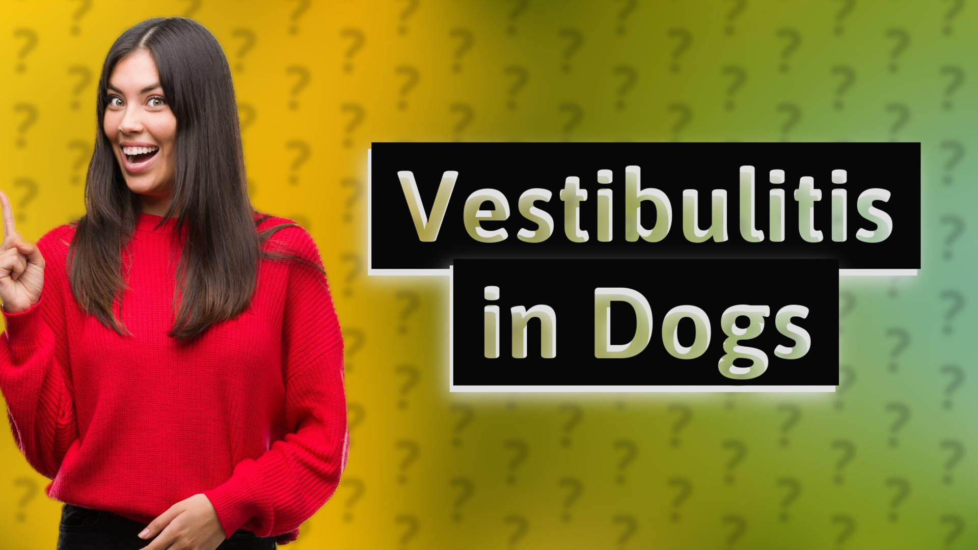 Vestibulitis in Dogs