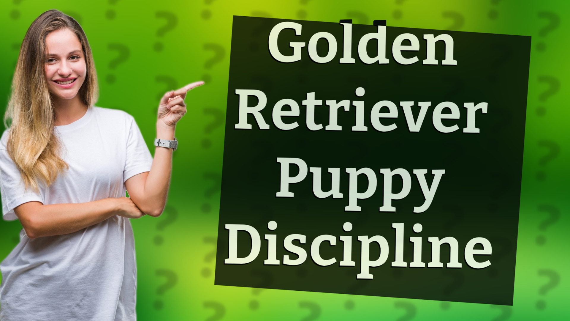 Golden Retriever Puppy Discipline