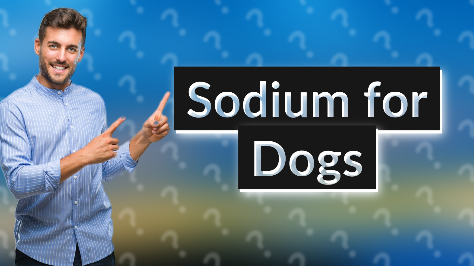 Sodium for Dogs