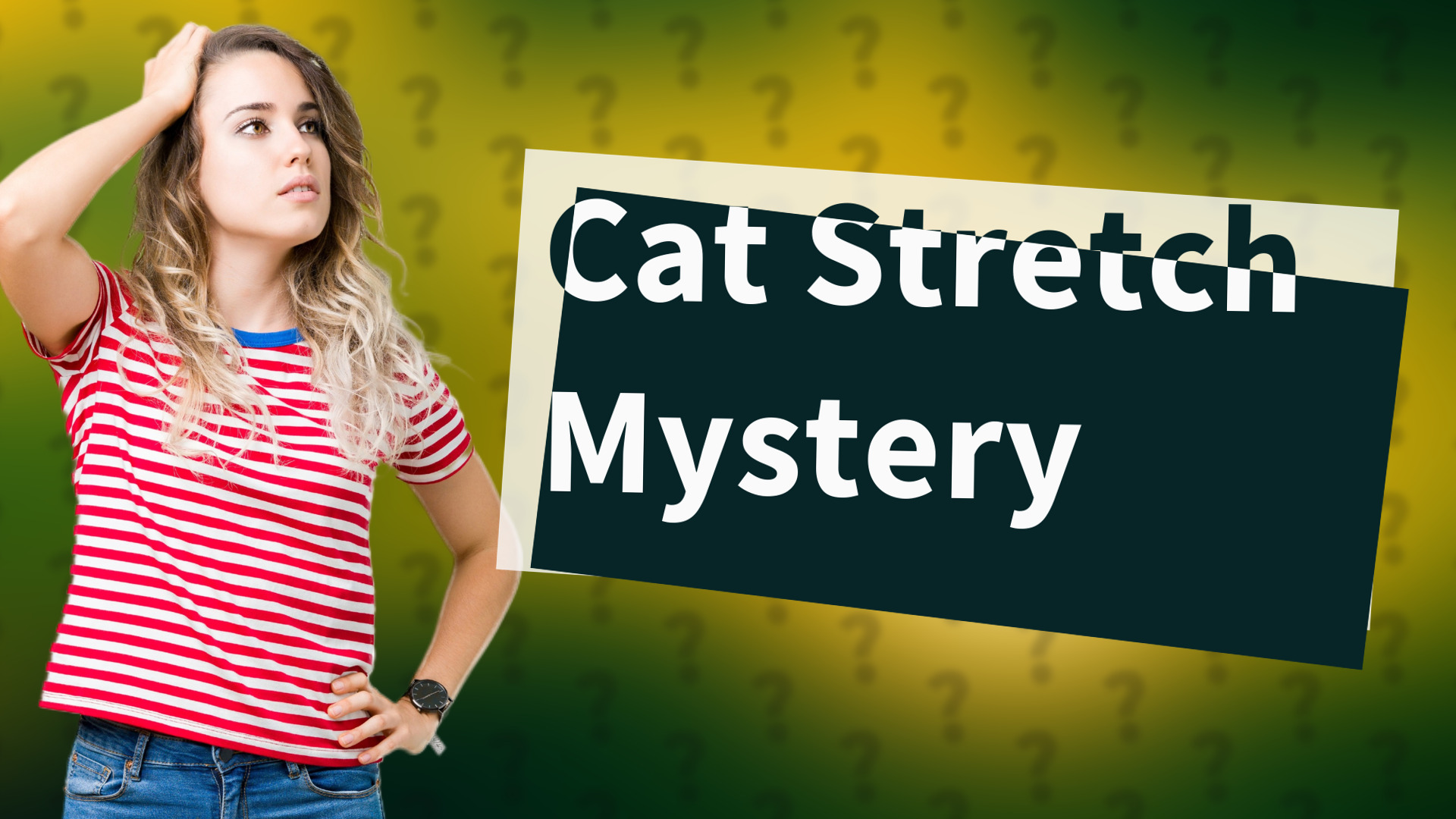 Cat Stretch Mystery
