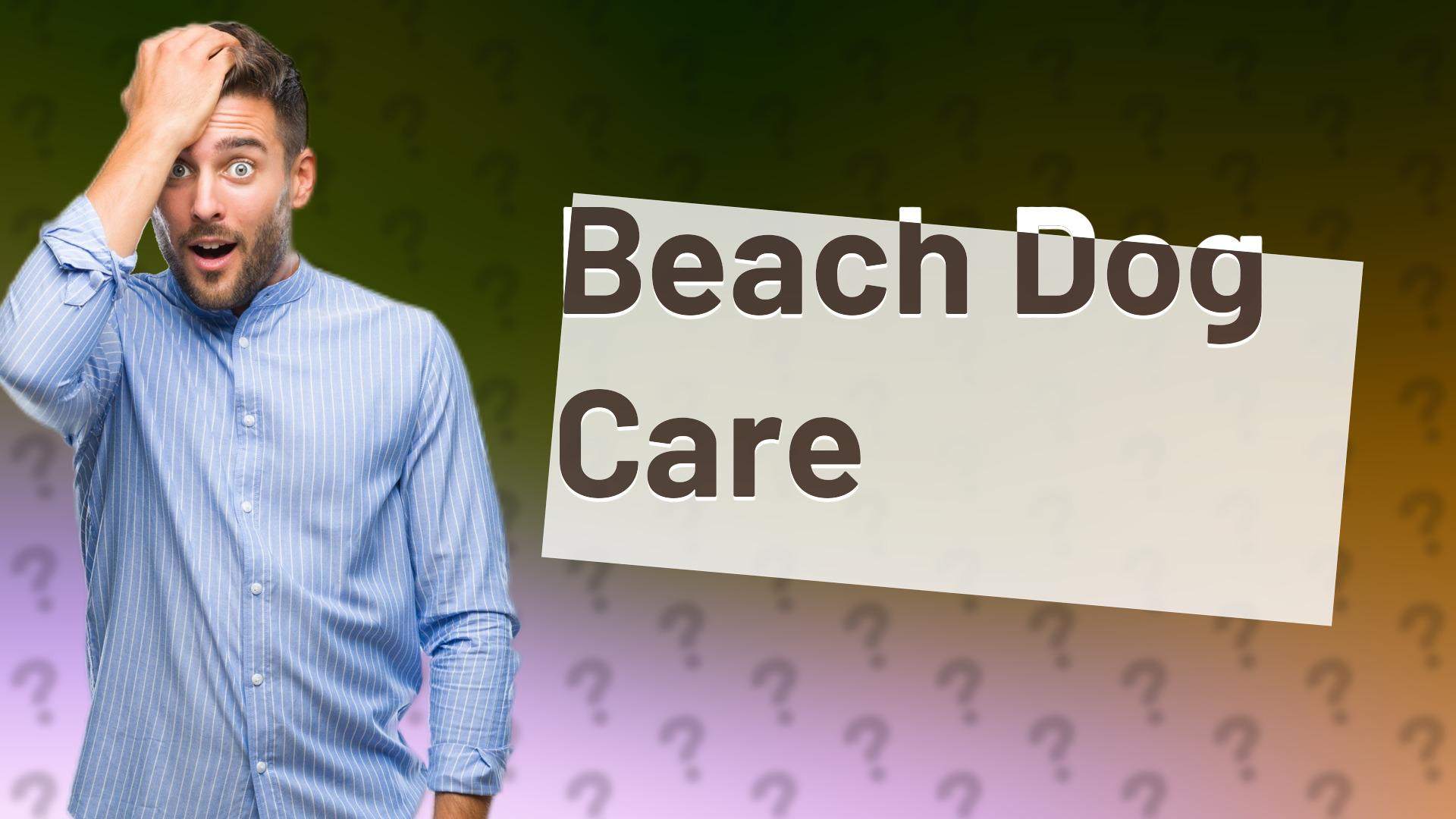 Beach Dog Care