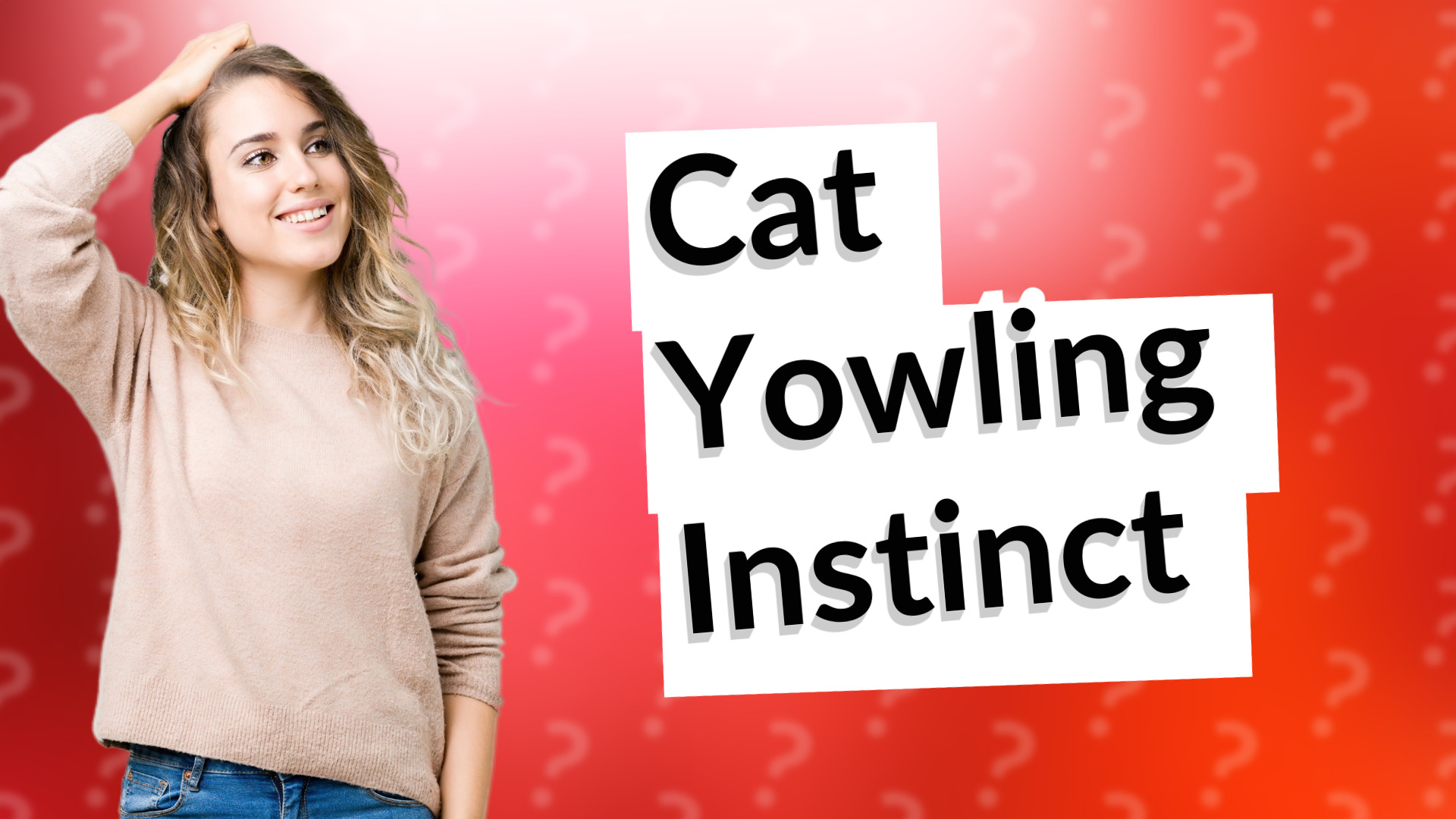 Cat Yowling Instinct