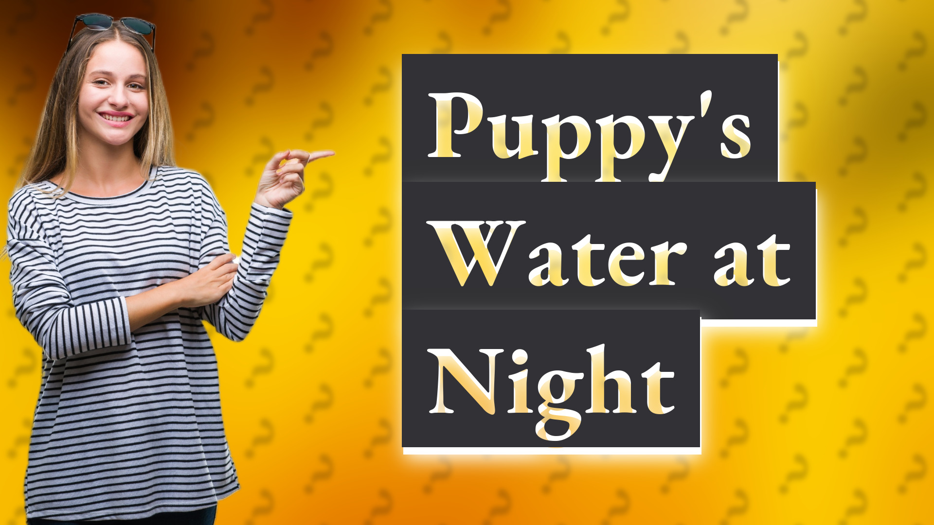 Puppy's Water at Night