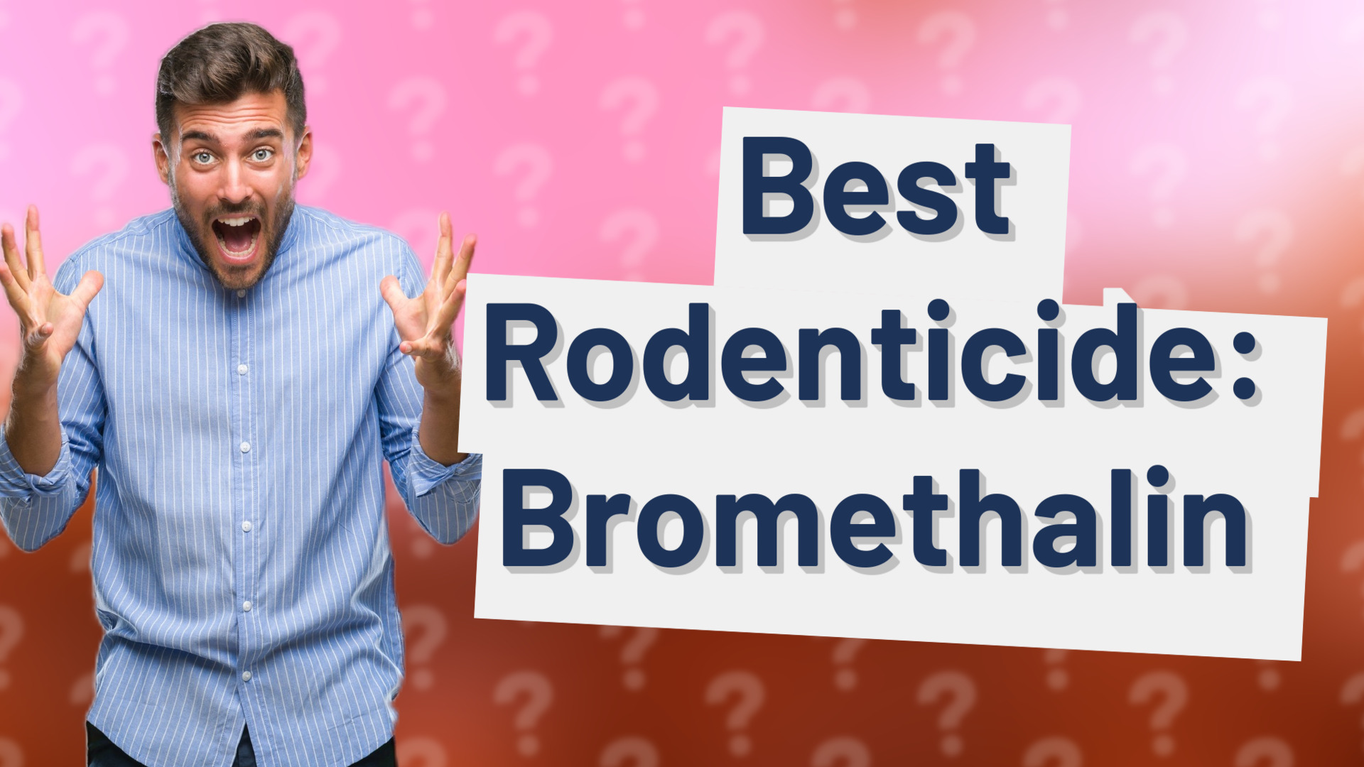 Best Rodenticide: Bromethalin