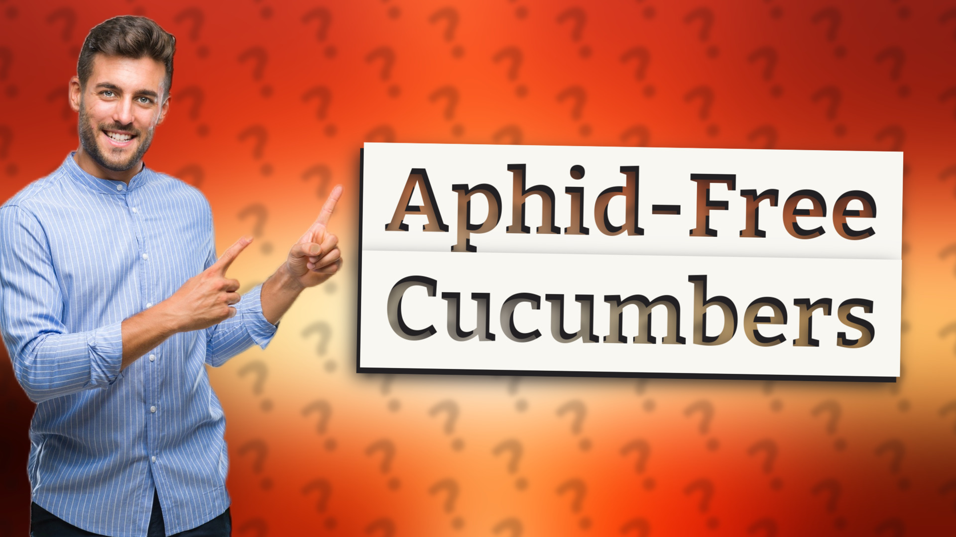 Aphid-Free Cucumbers
