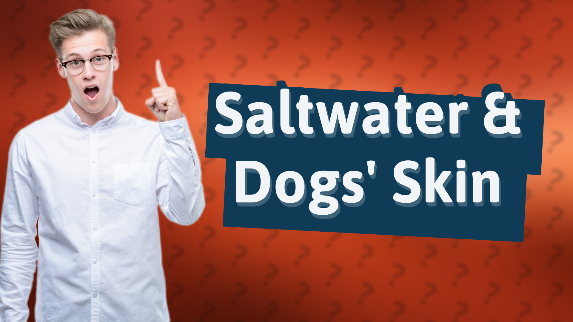 Saltwater & Dogs' Skin