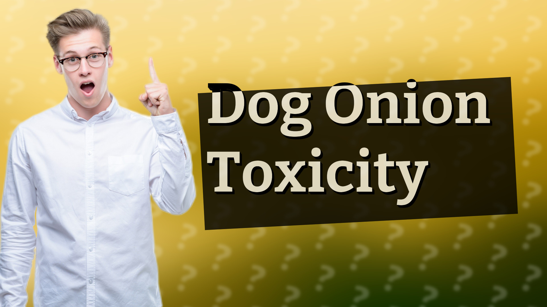 Dog Onion Toxicity