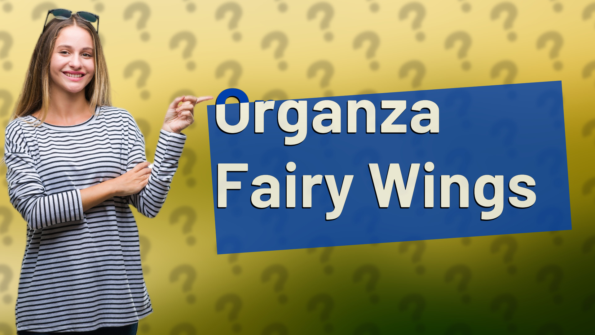 Organza Fairy Wings