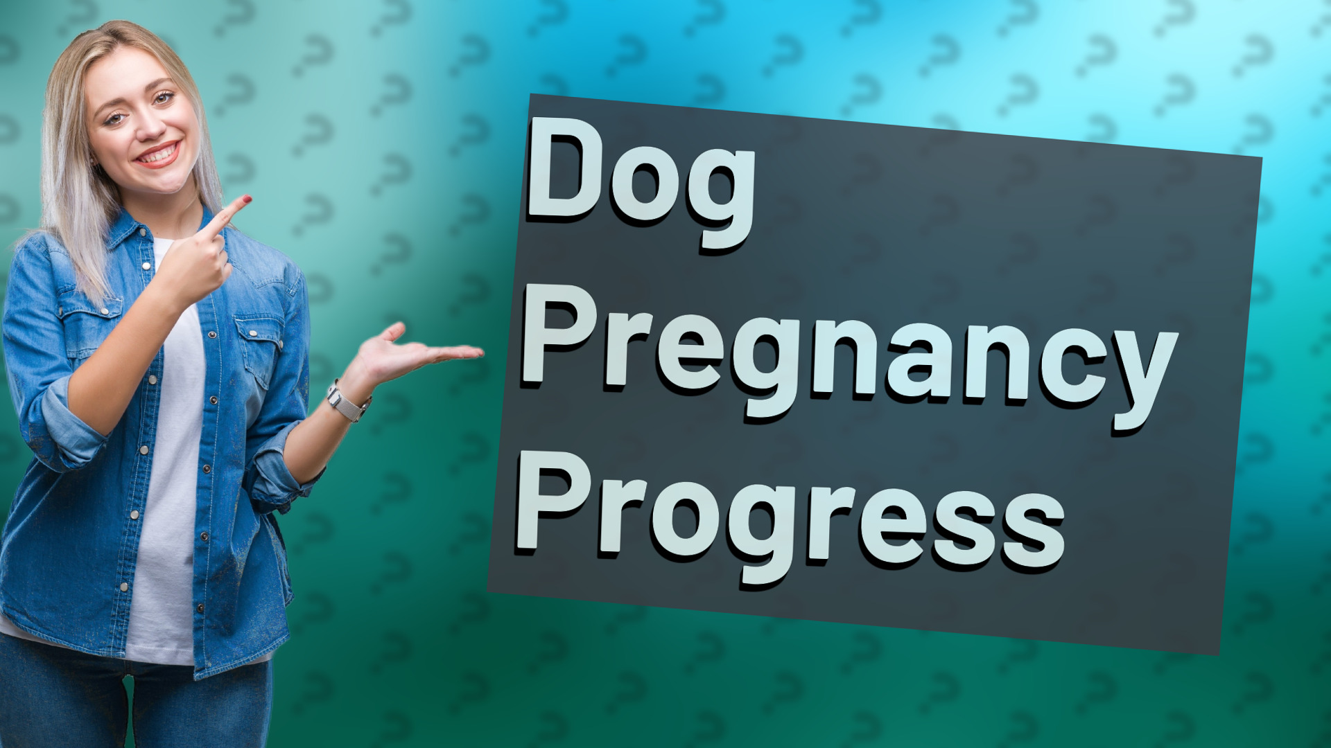 Dog Pregnancy Progress