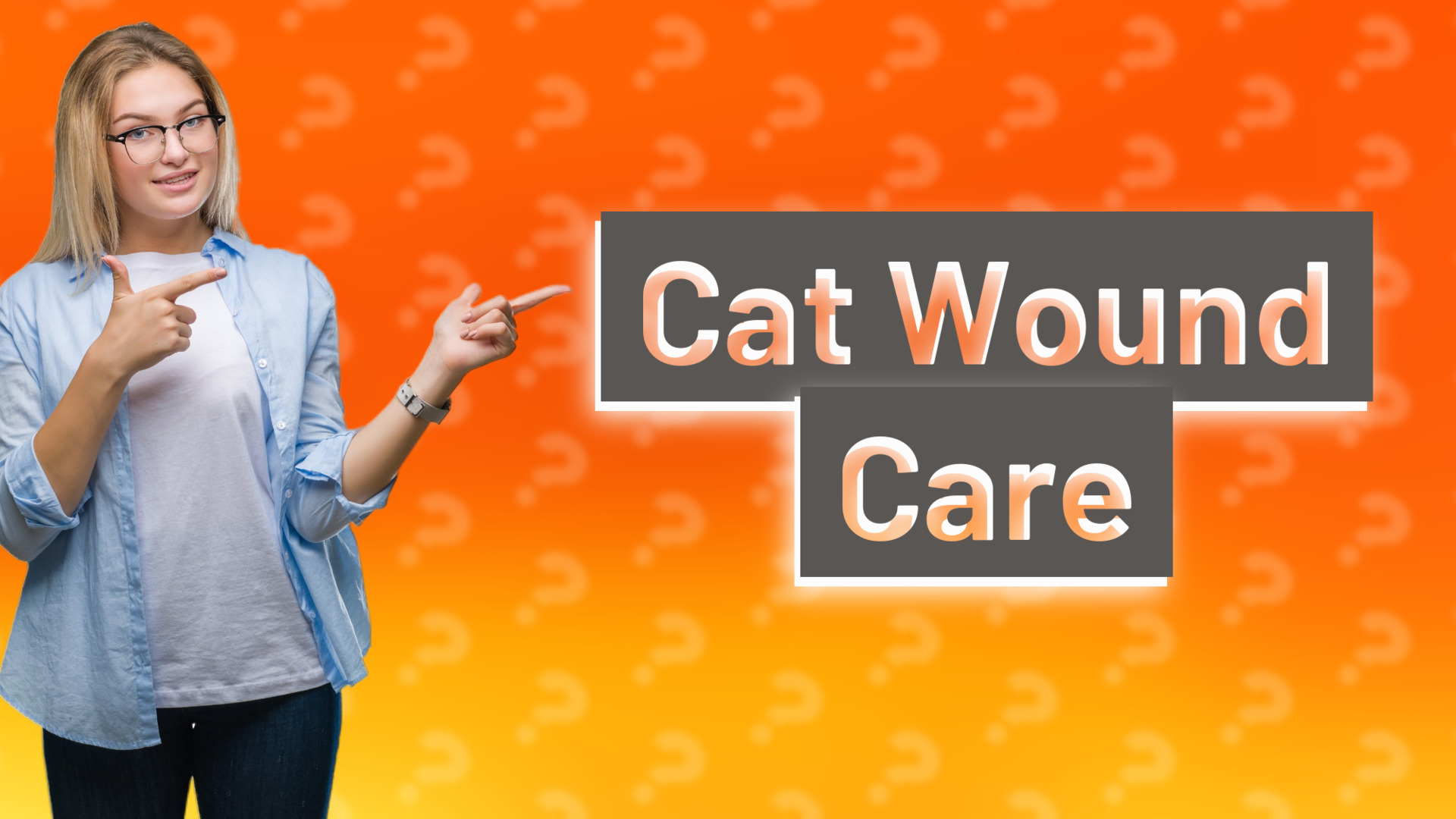 Cat Wound Care