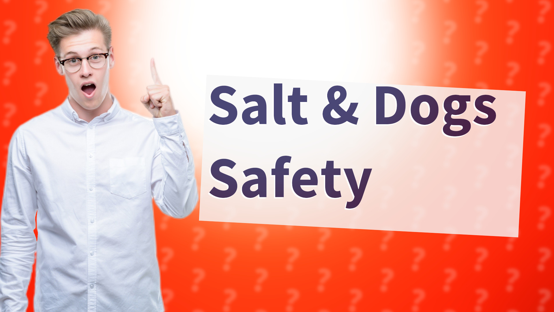 Salt & Dogs Safety