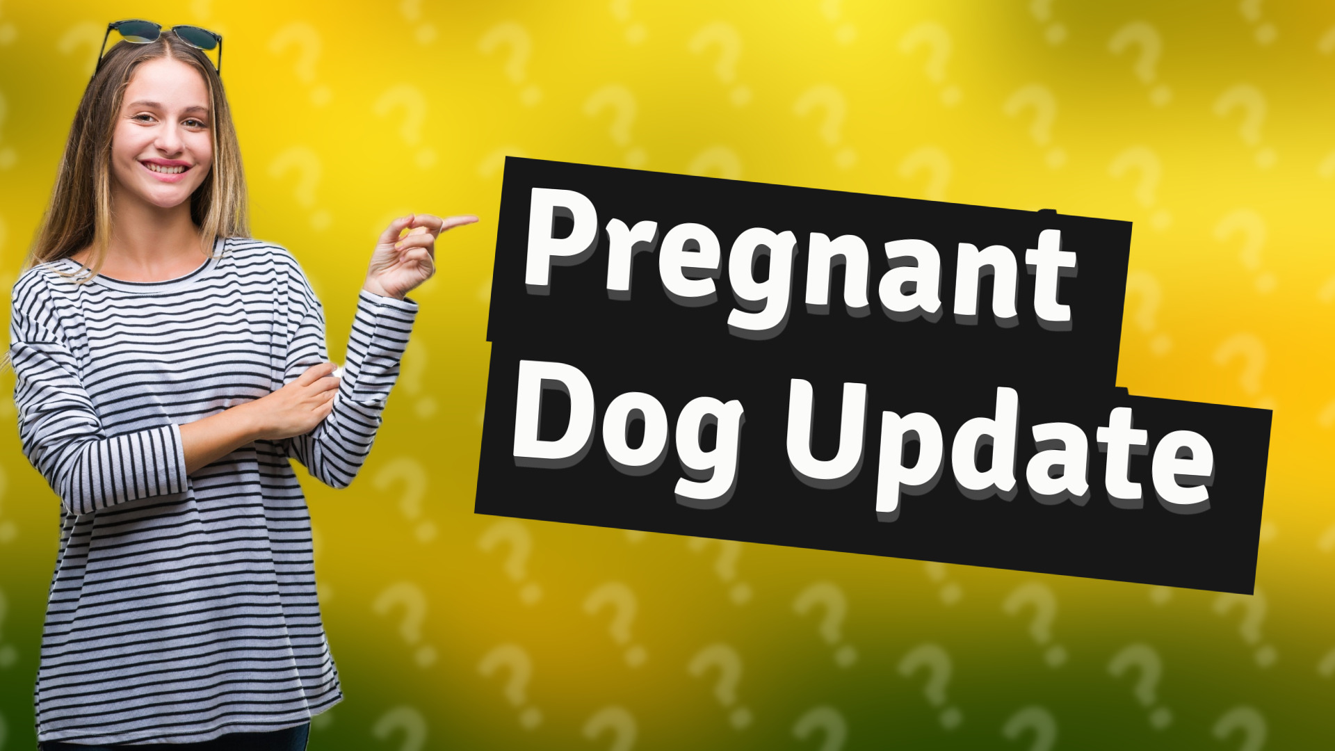 Pregnant Dog Update
