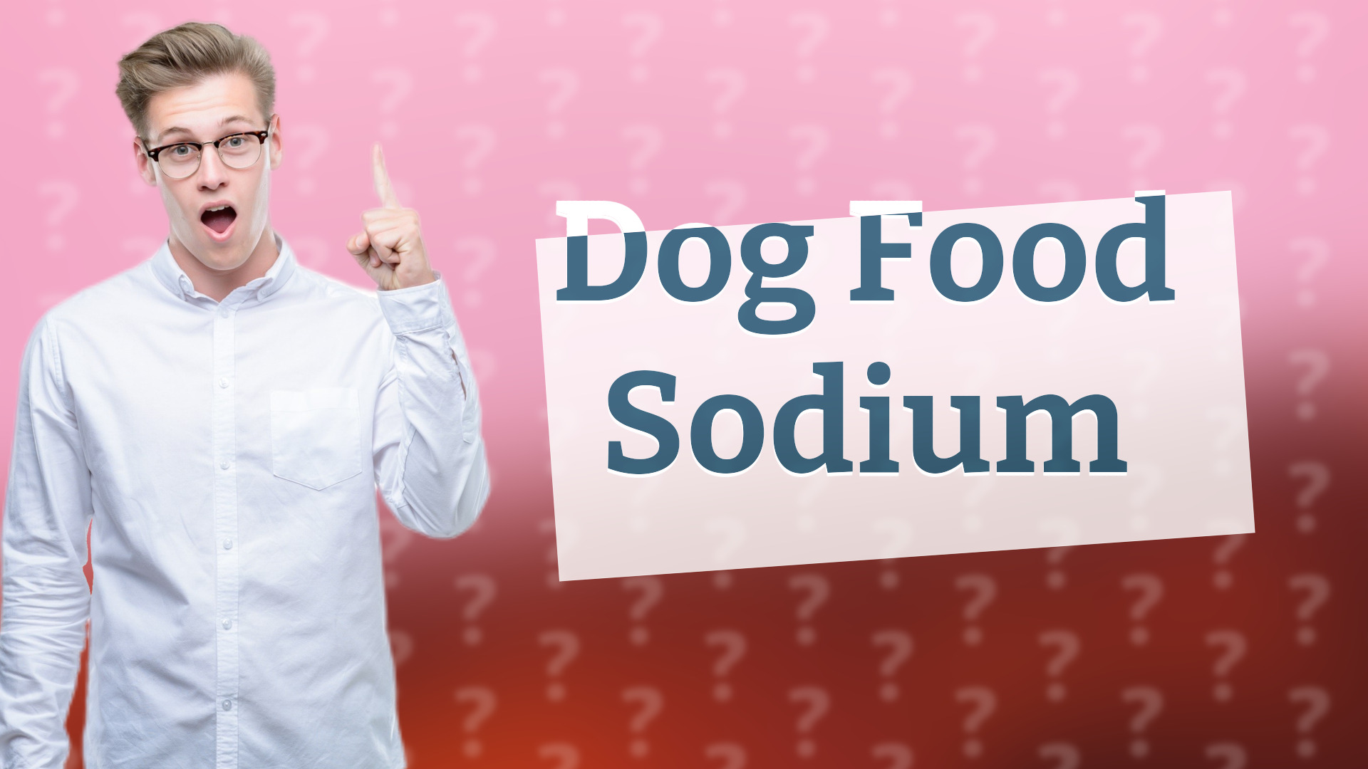 Dog Food Sodium