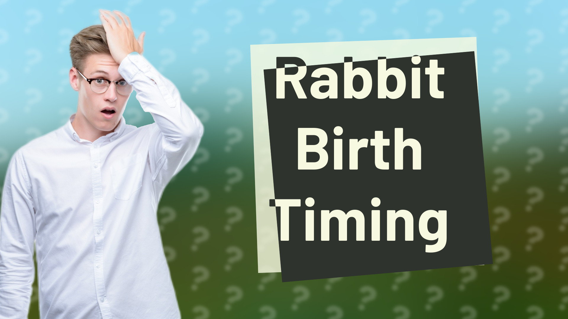 Rabbit Birth Timing