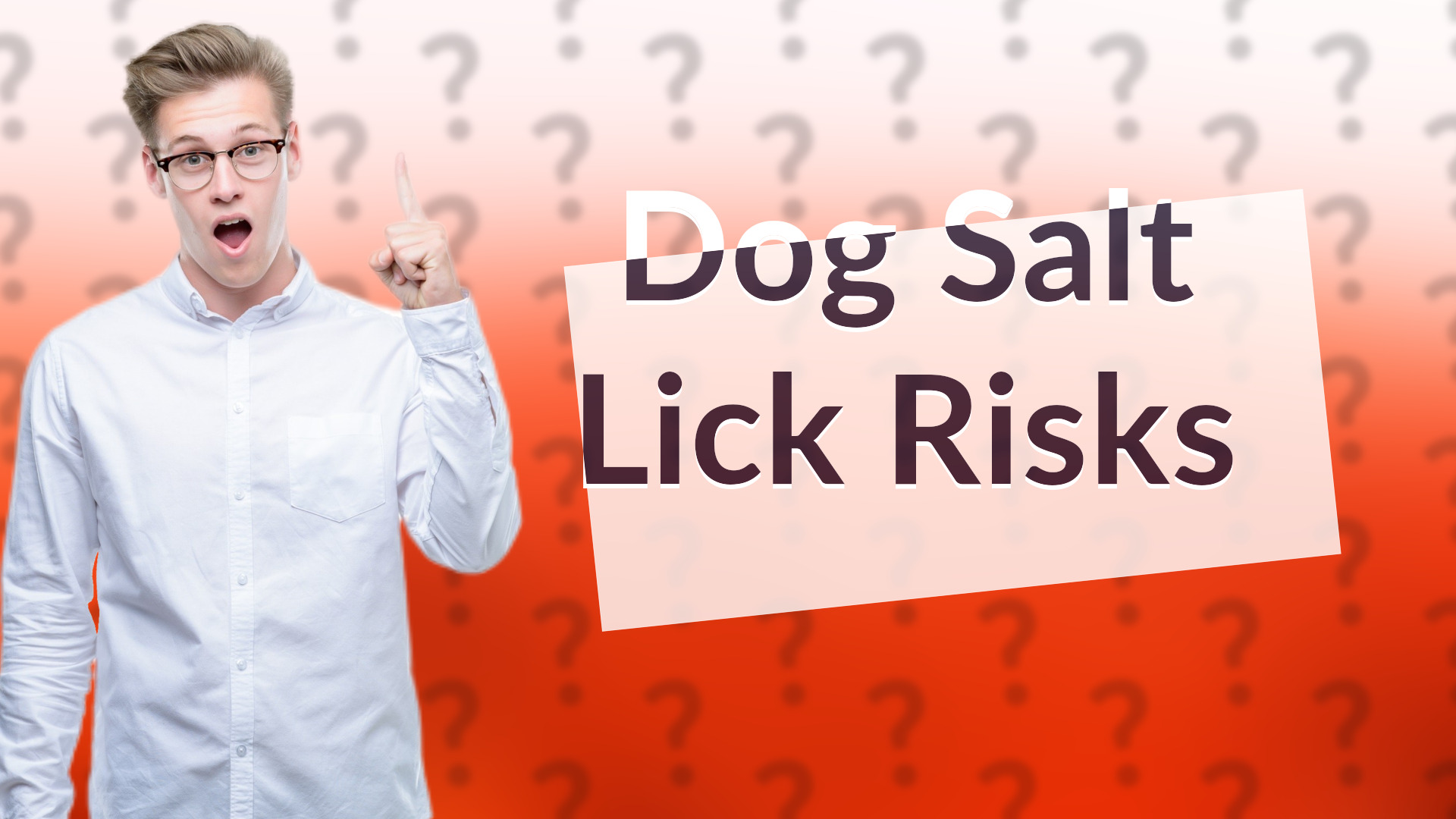 Dog Salt Lick Risks