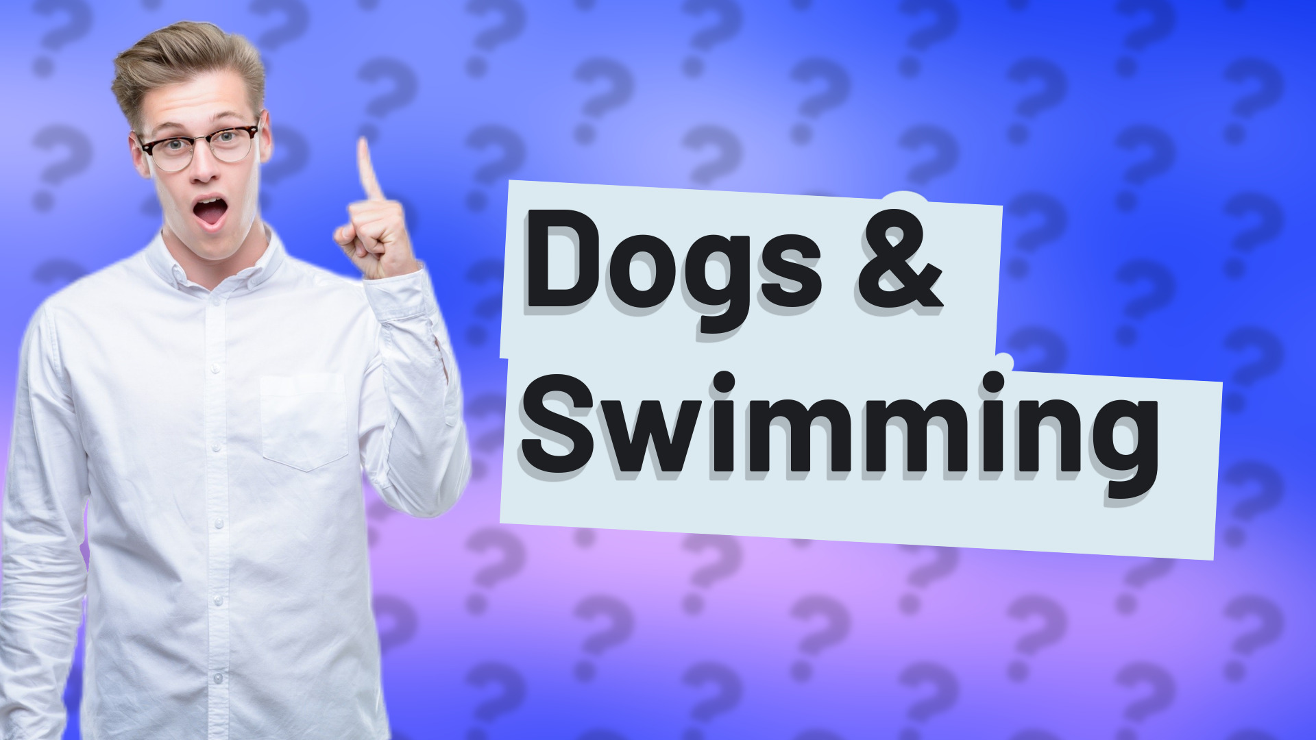 Dogs & Swimming