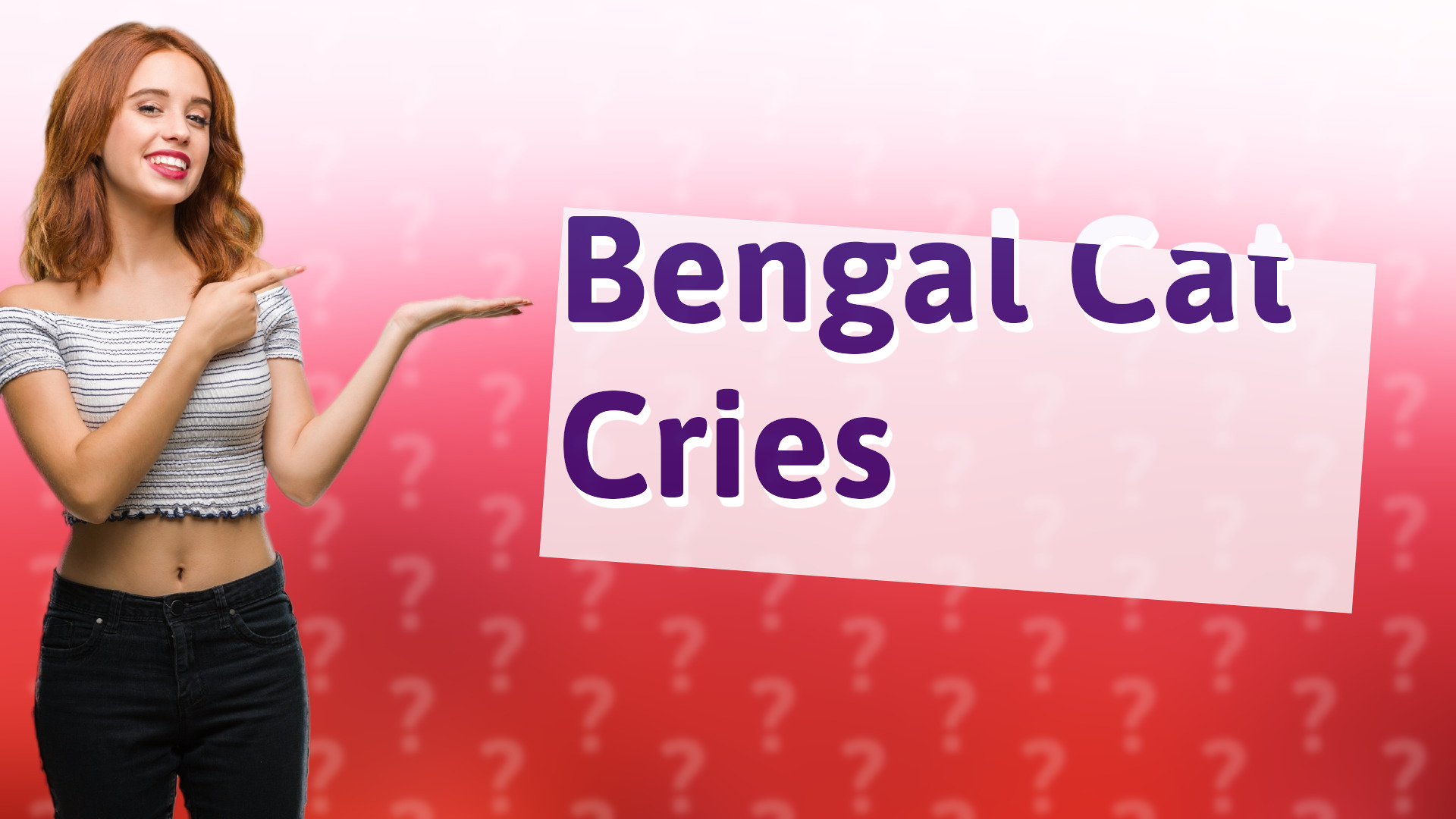 Bengal Cat Cries