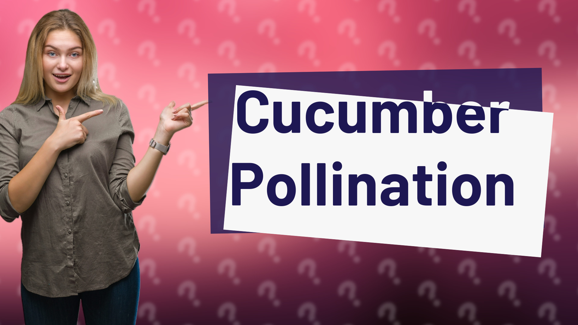 Cucumber Pollination