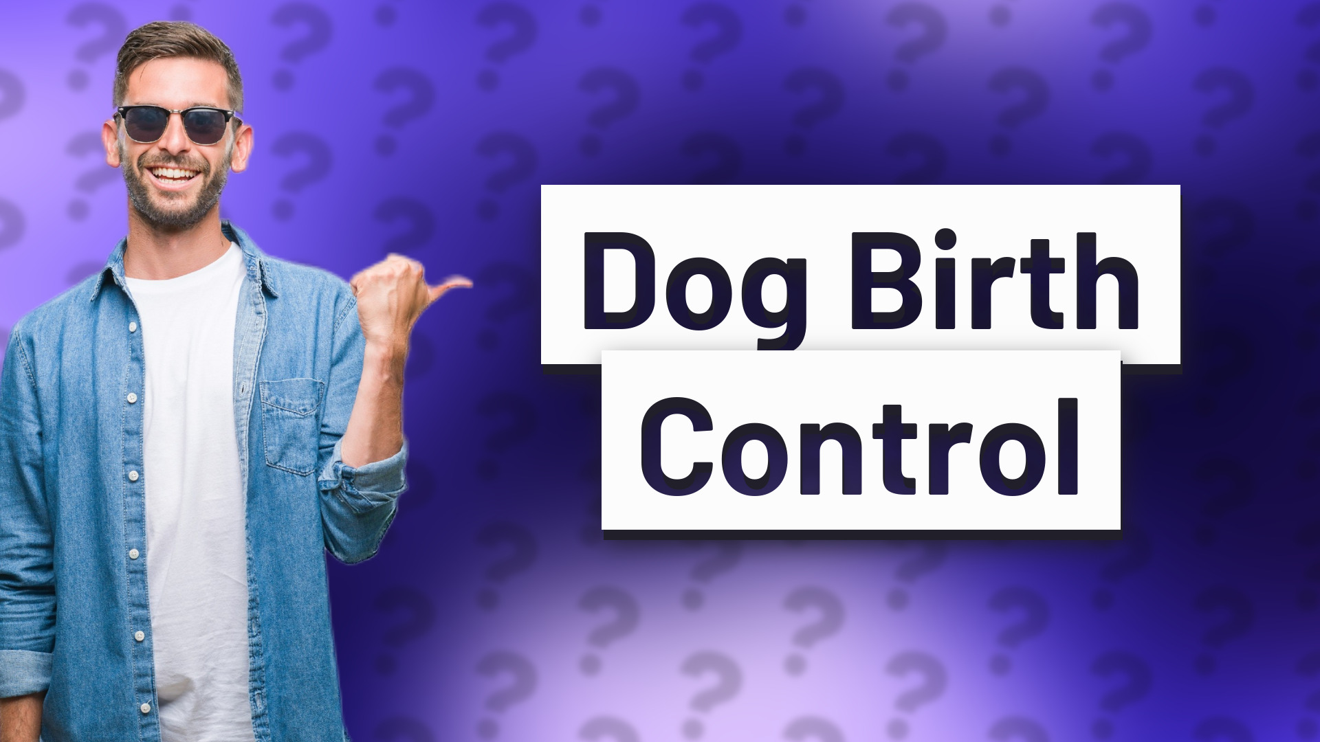 Dog Birth Control
