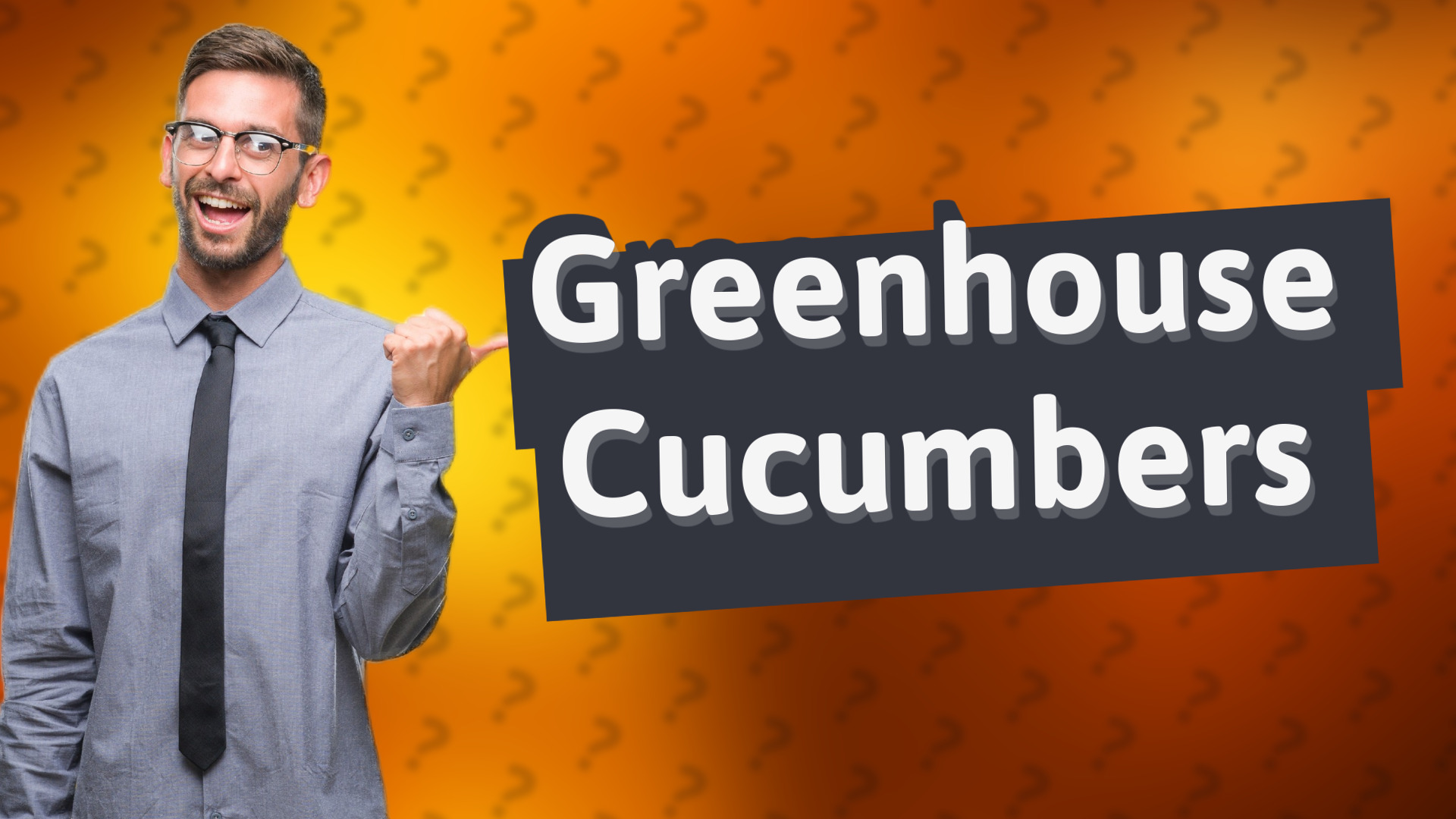 Greenhouse Cucumbers