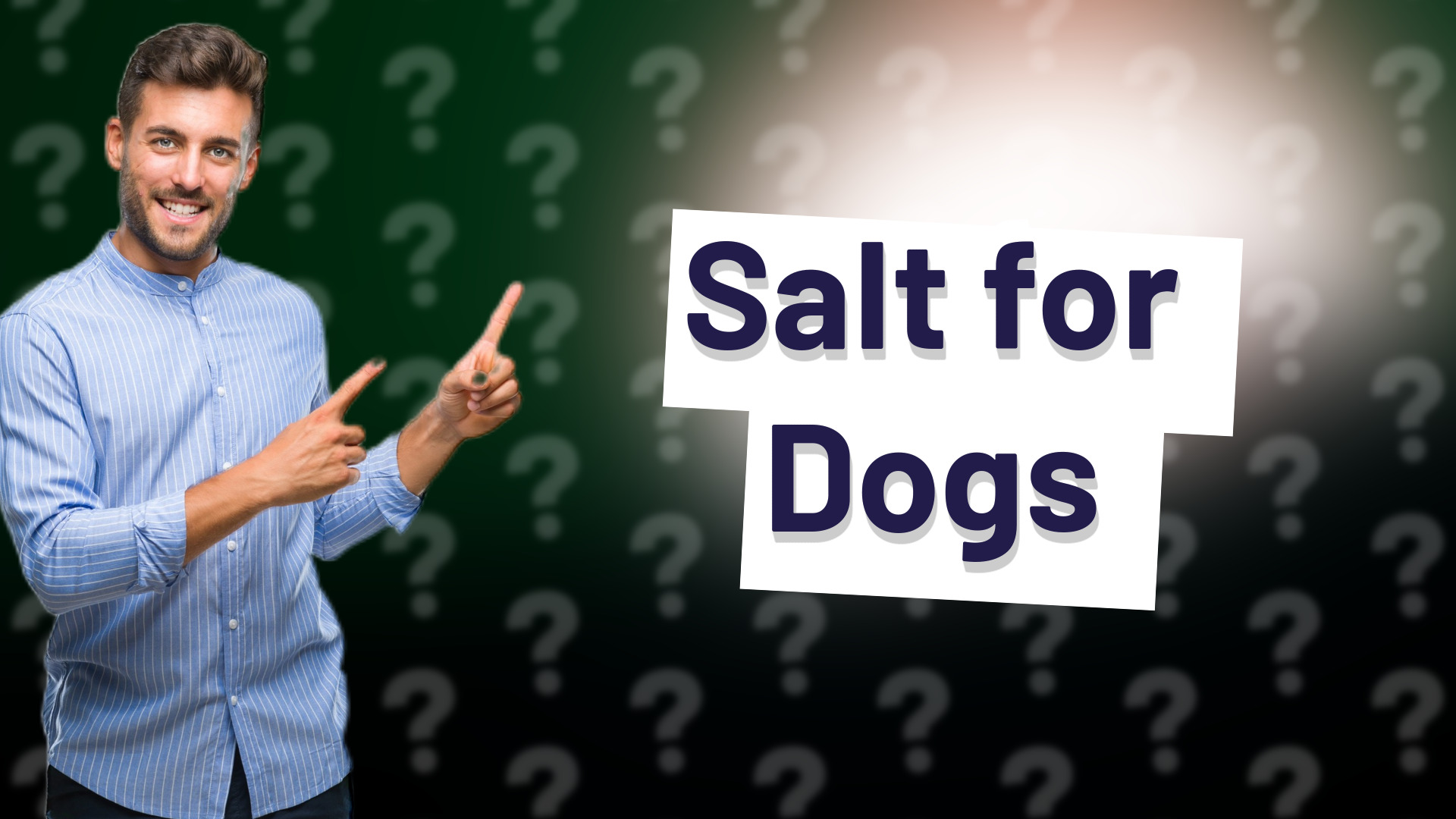 Salt for Dogs