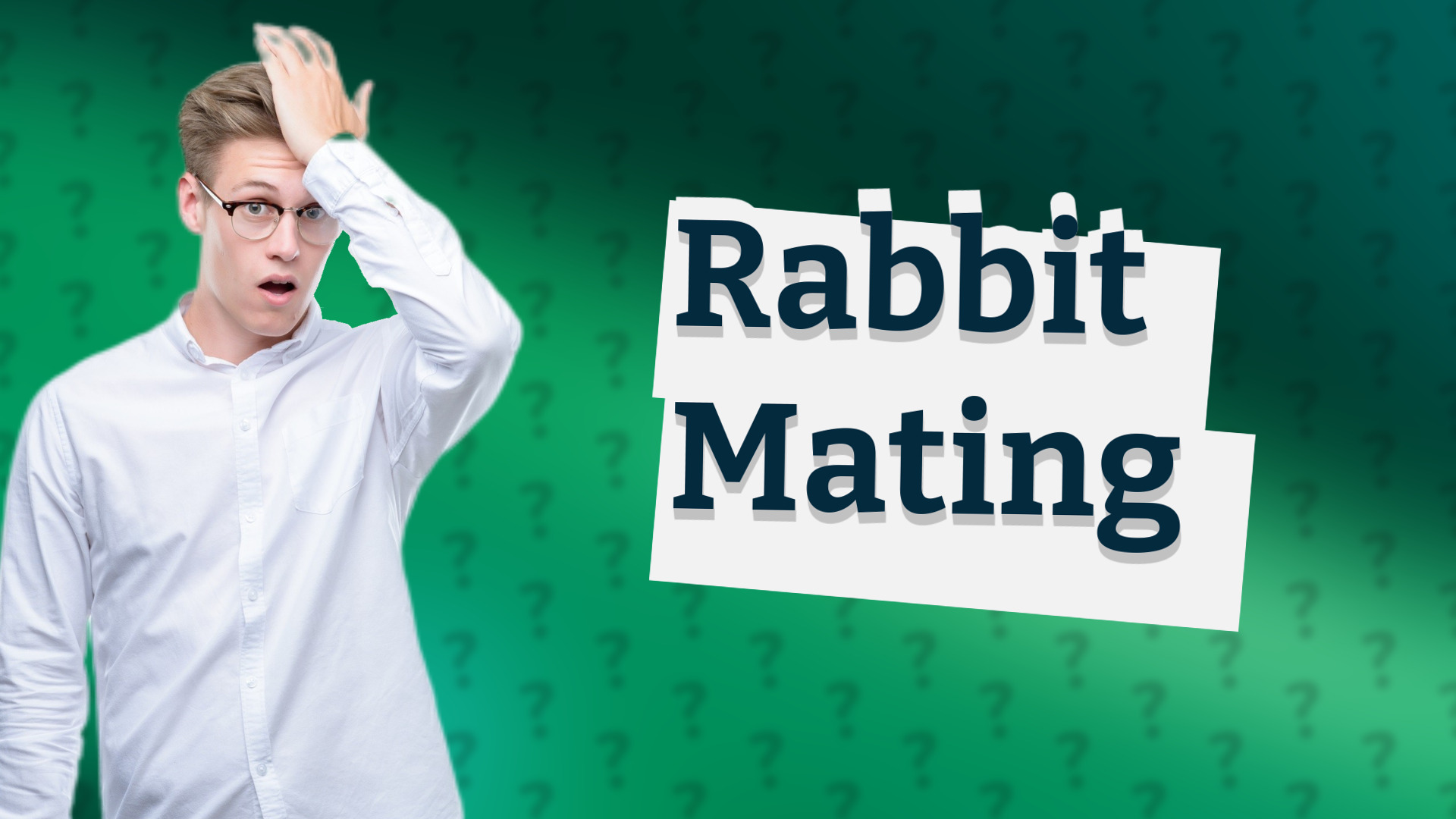 Rabbit Mating
