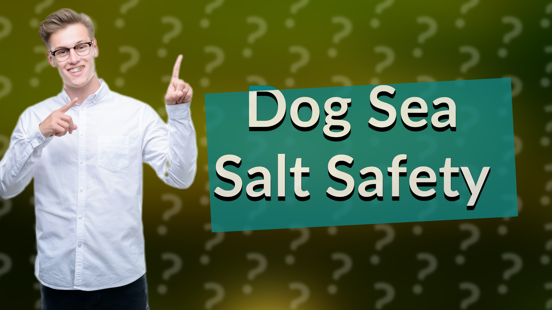 Dog Sea Salt Safety