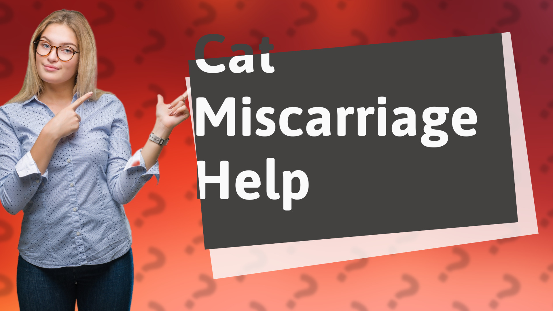 Cat Miscarriage Help