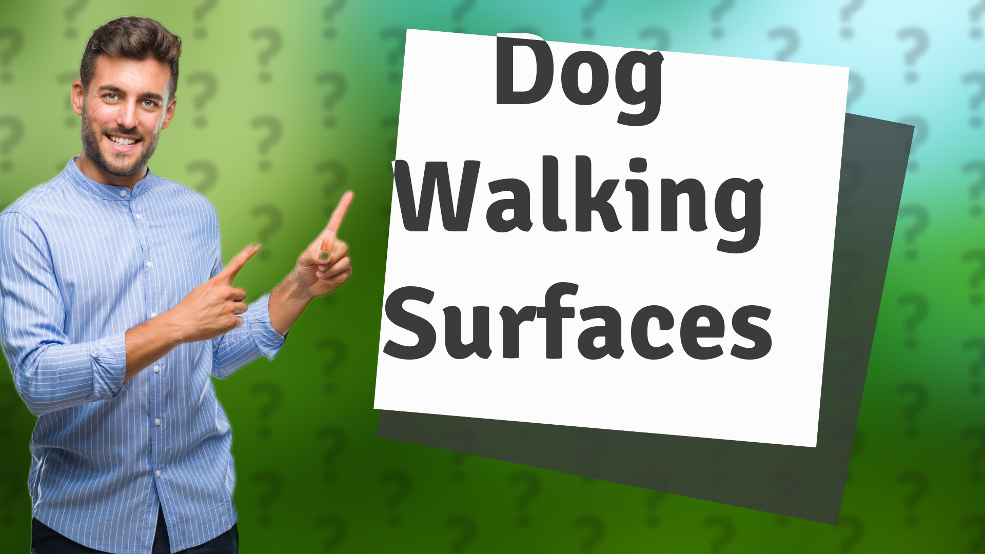 Dog Walking Surfaces