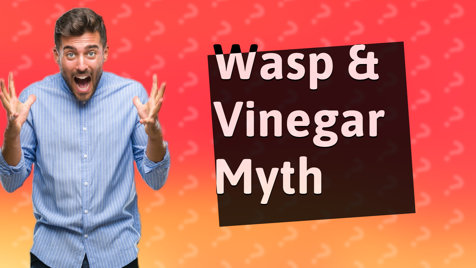 Wasp & Vinegar Myth