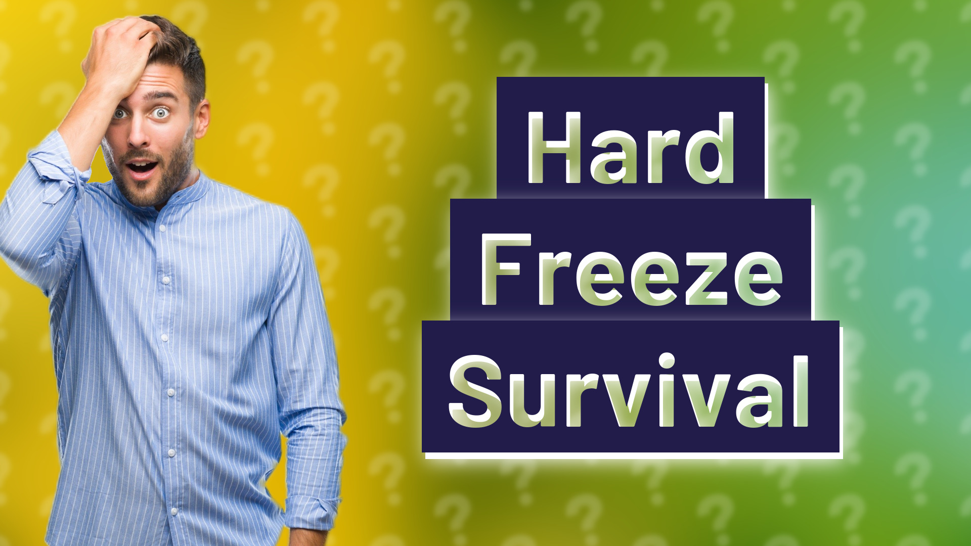 Hard Freeze Survival