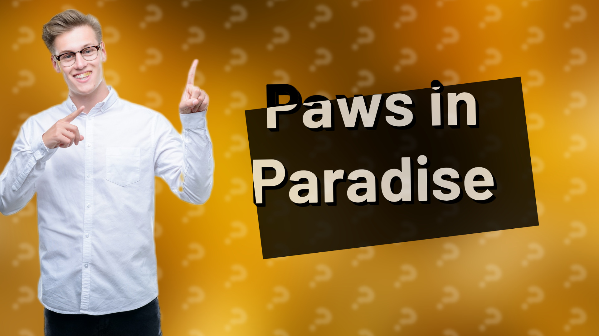 Paws in Paradise
