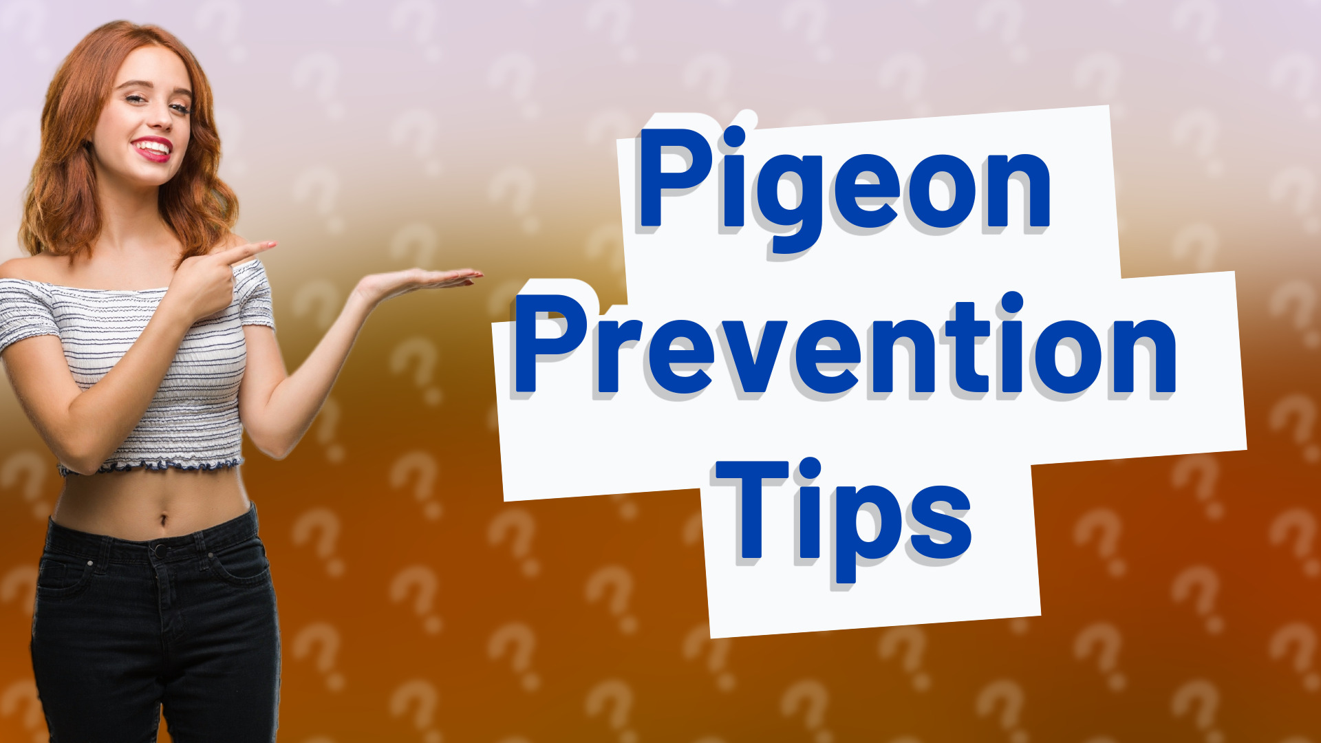 Pigeon Prevention Tips