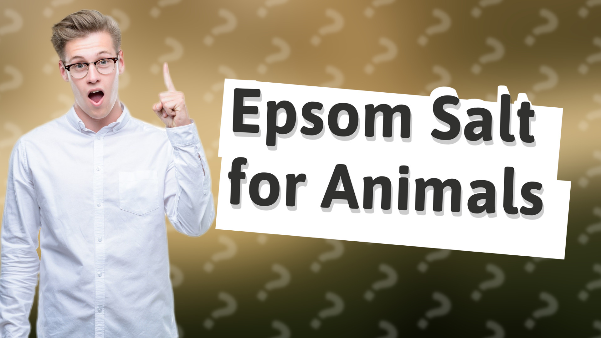 Epsom Salt for Animals