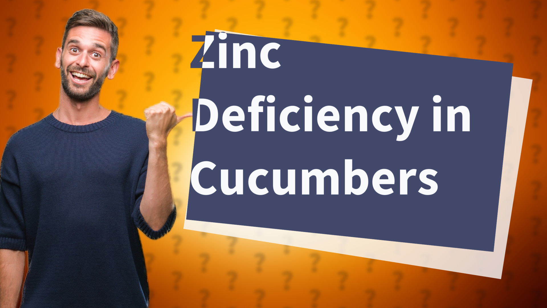 Zinc Deficiency in Cucumbers